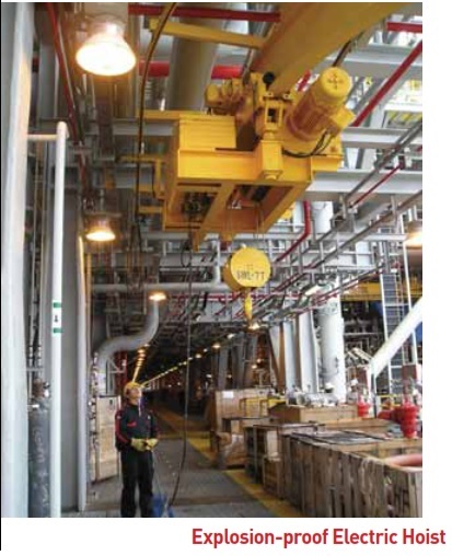 Ex-Proof Hoist Crane Hazardous Area