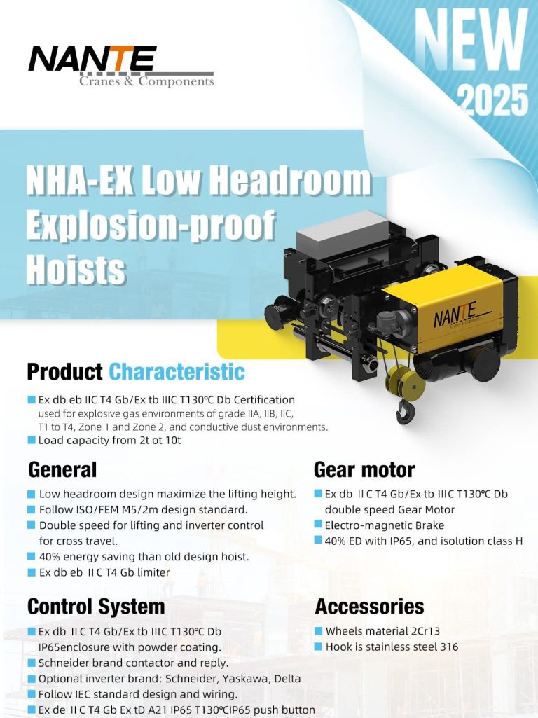 Explosion proof hoist crane